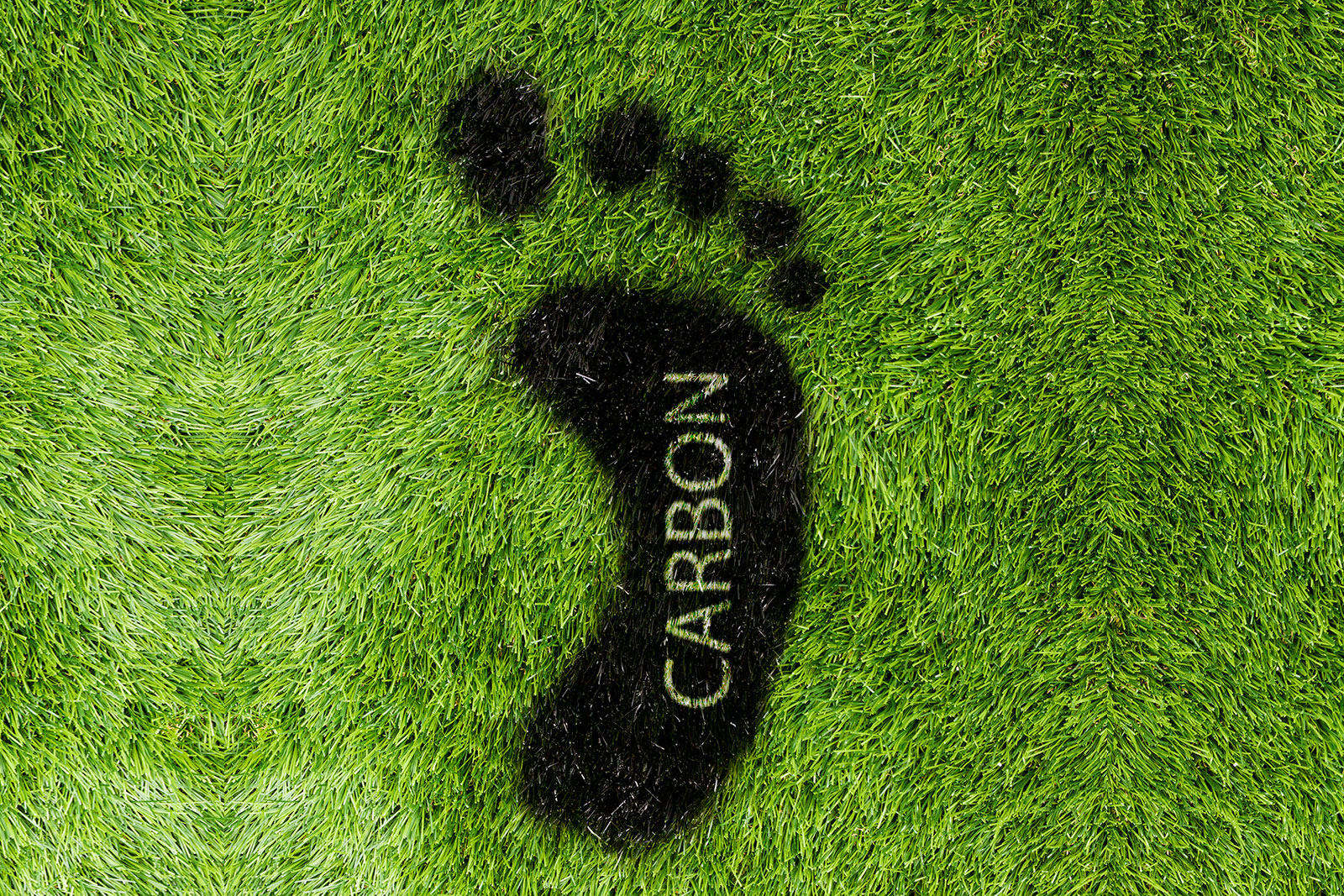 How can we reduce the carbon footprint?